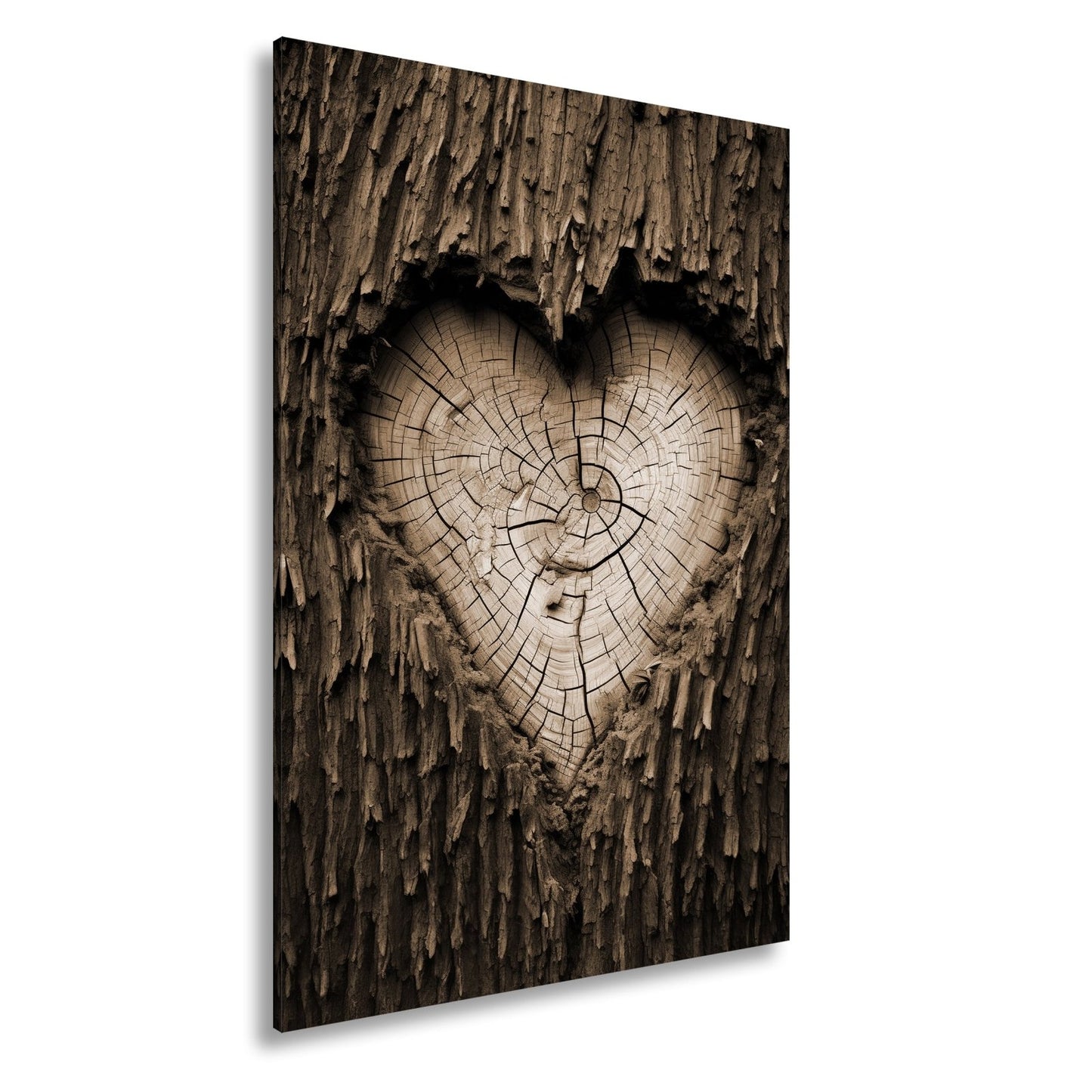 Leinwandbild Herz aus Holz – verborgen im Kern des alten Baumes. - deyoli