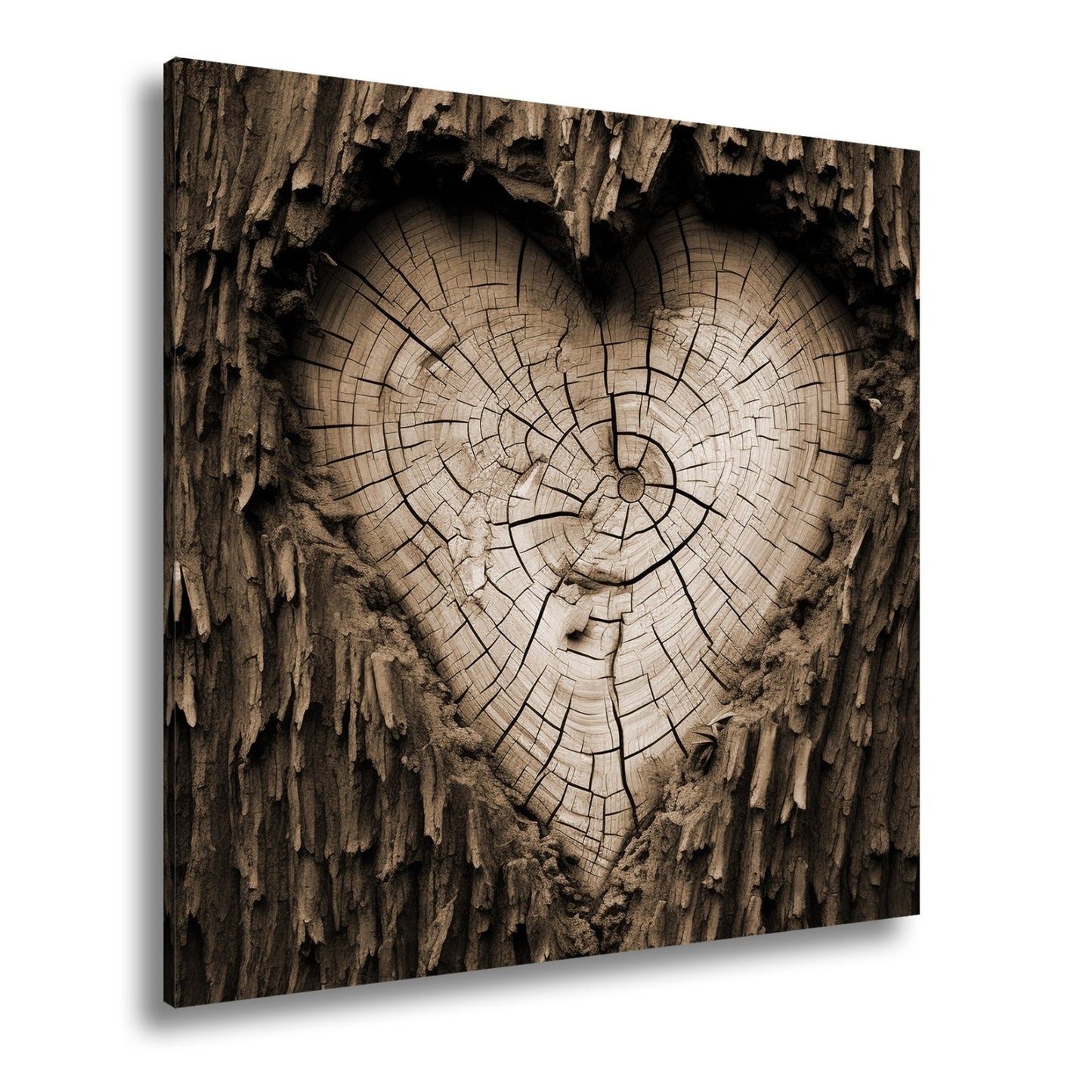Leinwandbild Herz aus Holz – verborgen im Kern des alten Baumes. - deyoli