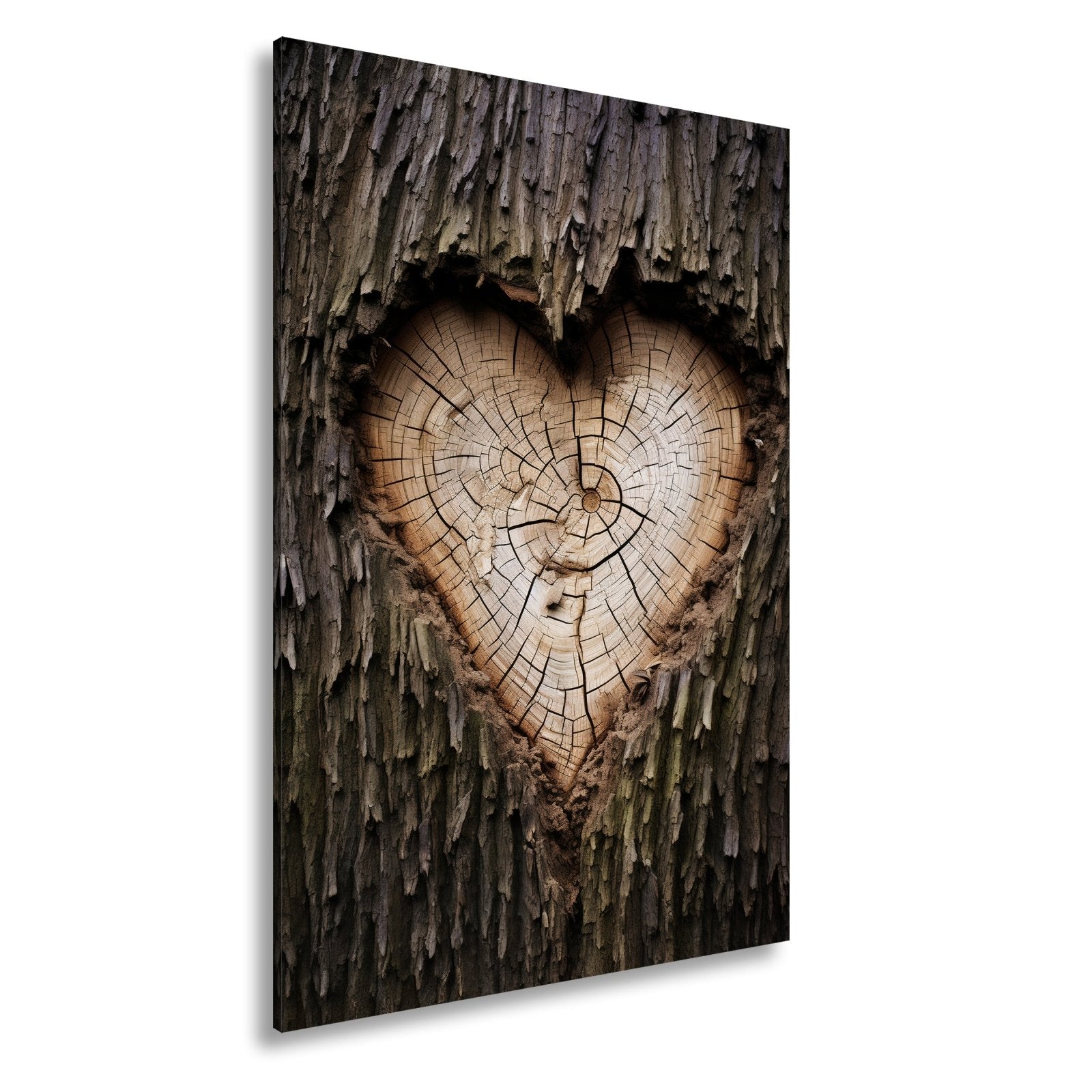 Leinwandbild Herz aus Holz – verborgen im Kern des alten Baumes. - deyoli