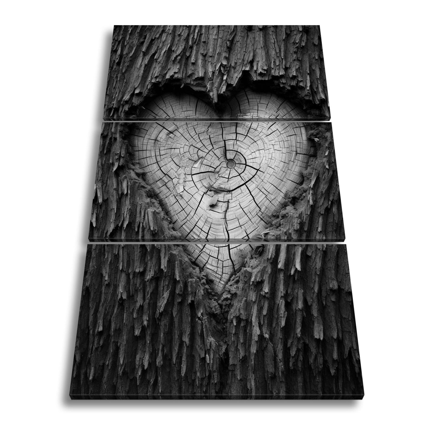 Leinwandbild Herz aus Holz – verborgen im Kern des alten Baumes. - deyoli