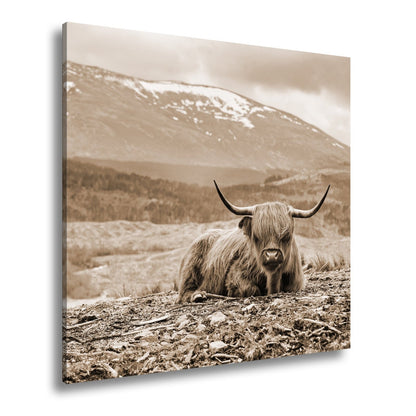 Leinwandbild Highland - Rind – Majestätische Bergkulisse XXL - deyoli