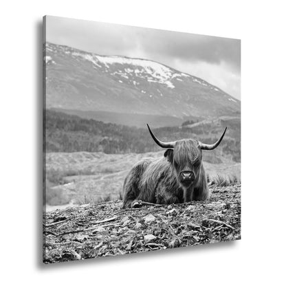 Leinwandbild Highland - Rind – Majestätische Bergkulisse XXL - deyoli