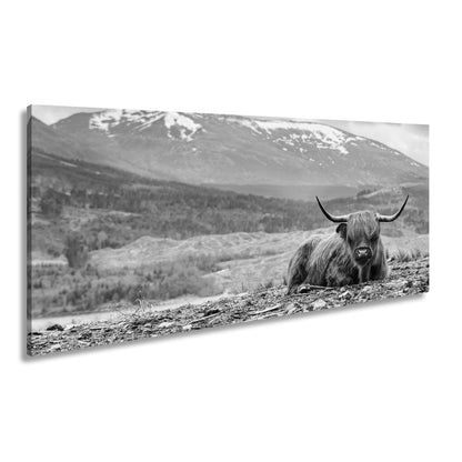 Leinwandbild Highland - Rind – Majestätische Bergkulisse XXL - deyoli