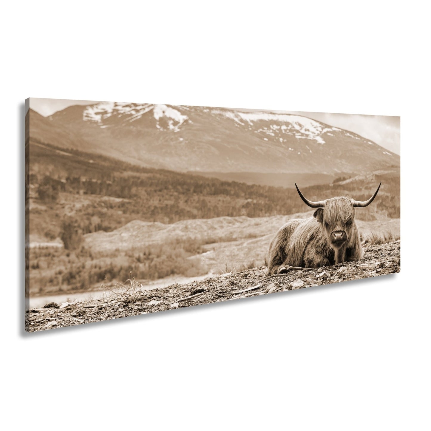 Leinwandbild Highland - Rind – Majestätische Bergkulisse XXL - deyoli