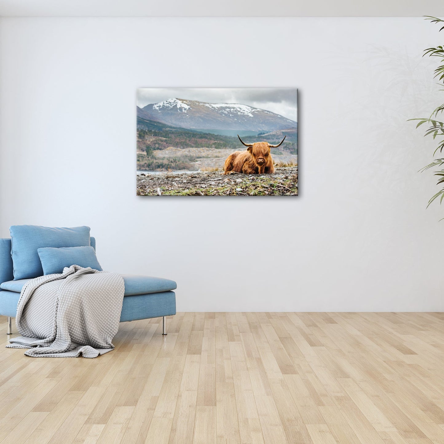 Leinwandbild Highland - Rind – Majestätische Bergkulisse XXL - deyoli