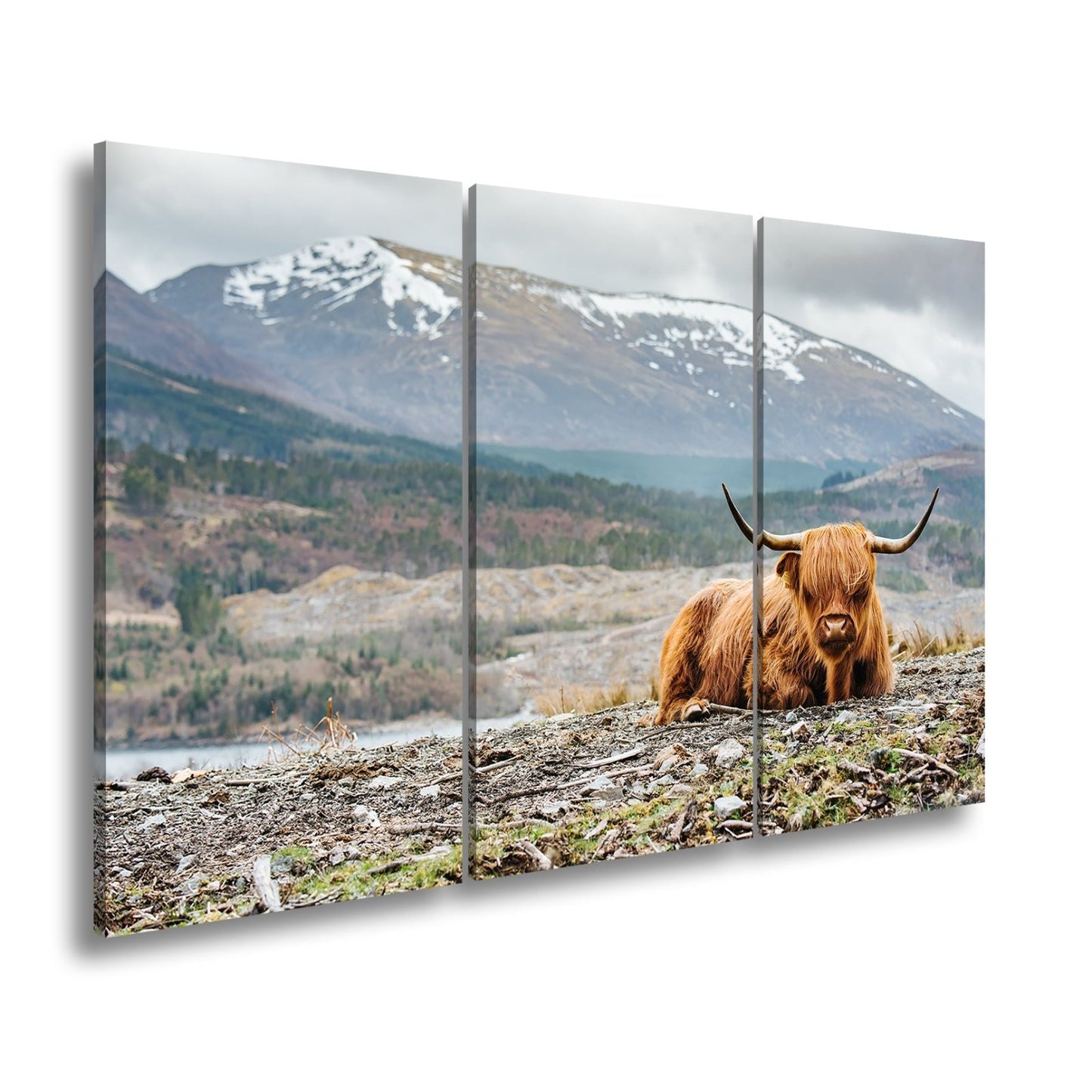 Leinwandbild Highland - Rind – Majestätische Bergkulisse XXL - deyoli