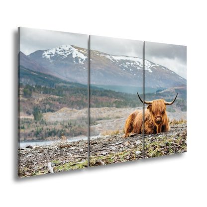 Leinwandbild Highland - Rind – Majestätische Bergkulisse XXL - deyoli