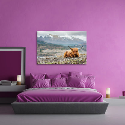Leinwandbild Highland - Rind – Majestätische Bergkulisse XXL - deyoli