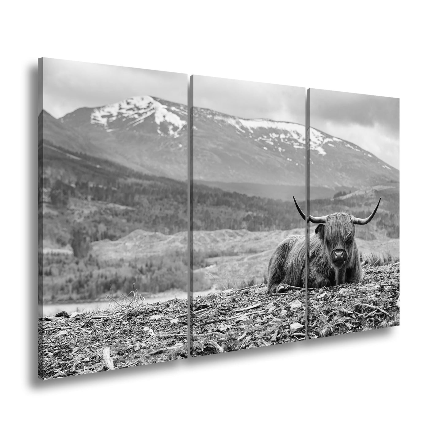 Leinwandbild Highland - Rind – Majestätische Bergkulisse XXL - deyoli