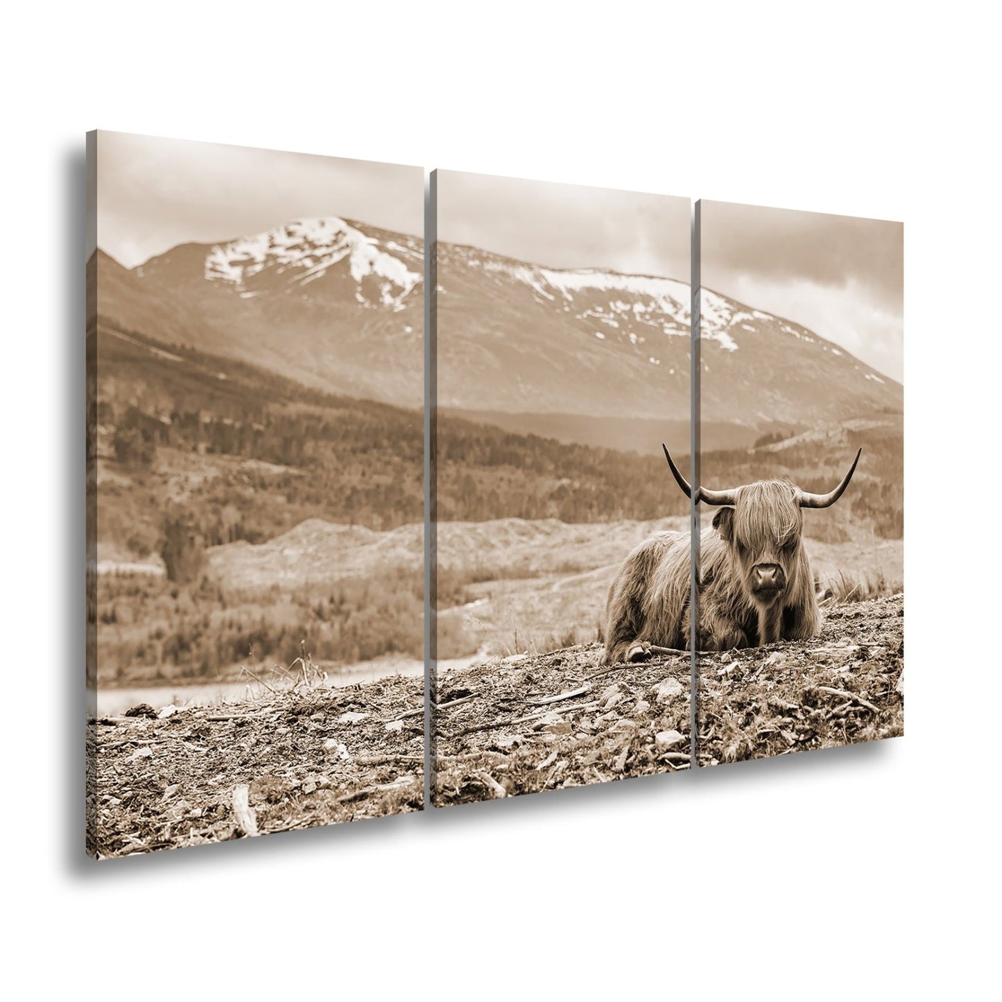 Leinwandbild Highland - Rind – Majestätische Bergkulisse XXL - deyoli