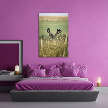 Leinwandbild Hirsch im hohen goldenen Gras XXL – Wildtiere Wandbild Natur - deyoli