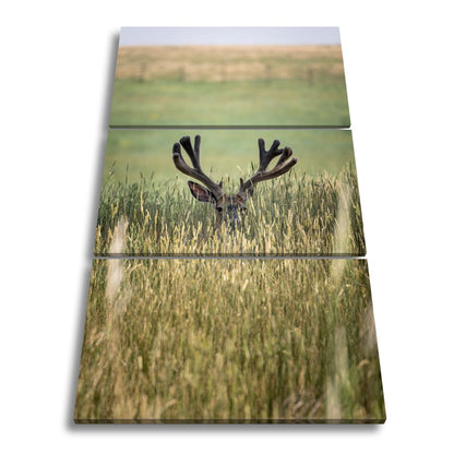 Leinwandbild Hirsch im hohen goldenen Gras XXL – Wildtiere Wandbild Natur - deyoli