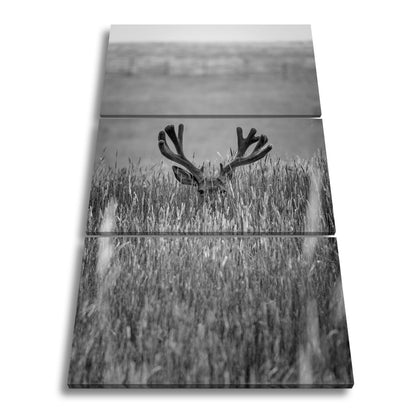 Leinwandbild Hirsch im hohen goldenen Gras XXL – Wildtiere Wandbild Natur - deyoli