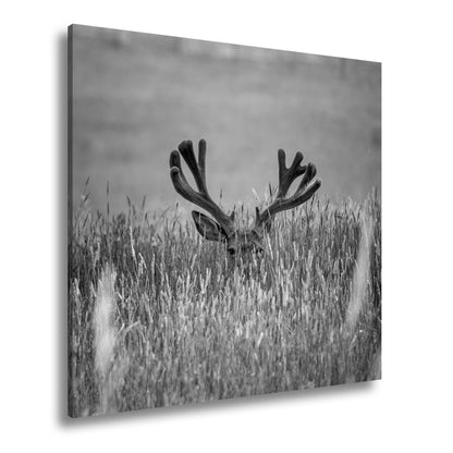 Leinwandbild Hirsch im hohen goldenen Gras XXL – Wildtiere Wandbild Natur - deyoli
