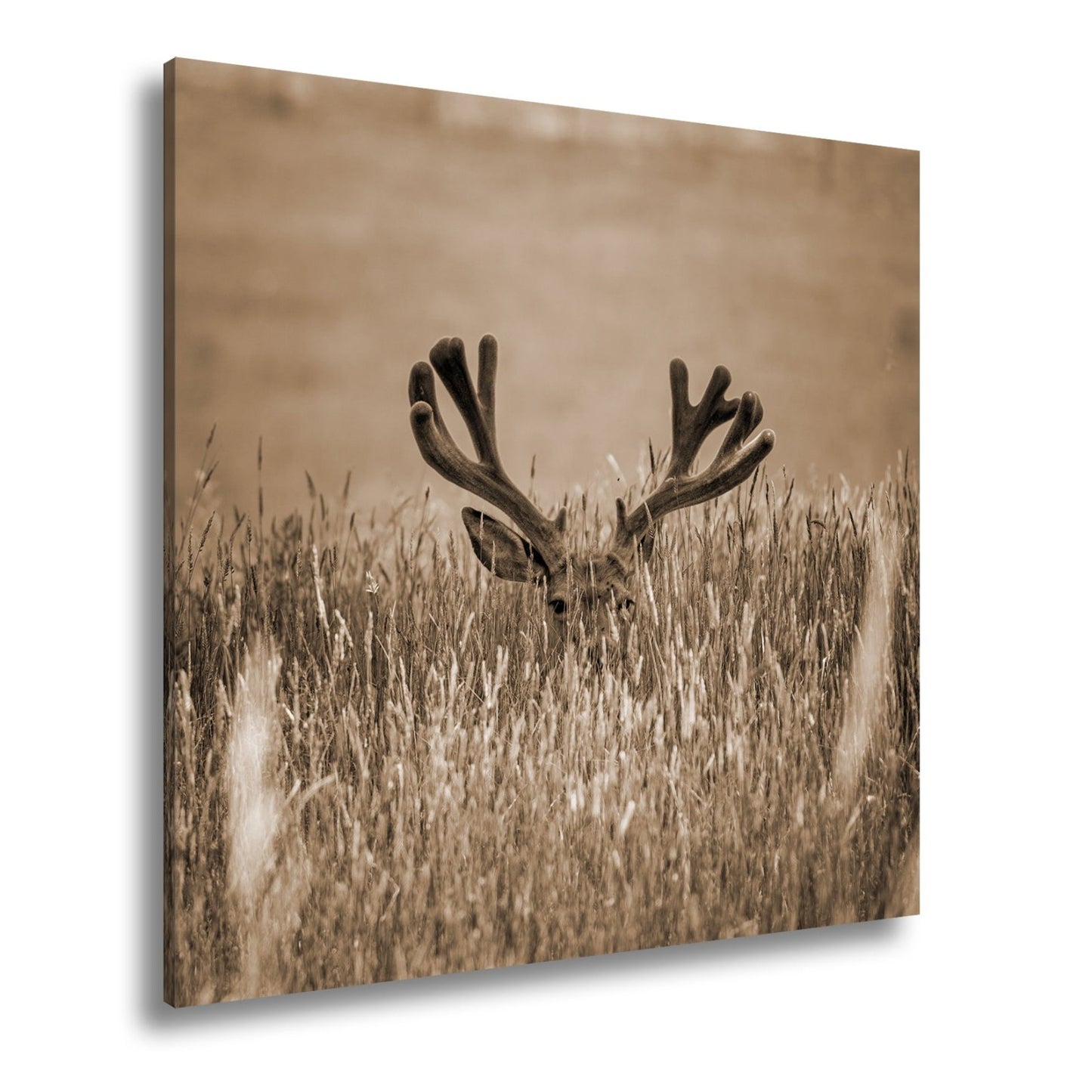 Leinwandbild Hirsch im hohen goldenen Gras XXL – Wildtiere Wandbild Natur - deyoli