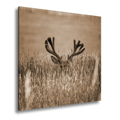 Leinwandbild Hirsch im hohen goldenen Gras XXL – Wildtiere Wandbild Natur - deyoli