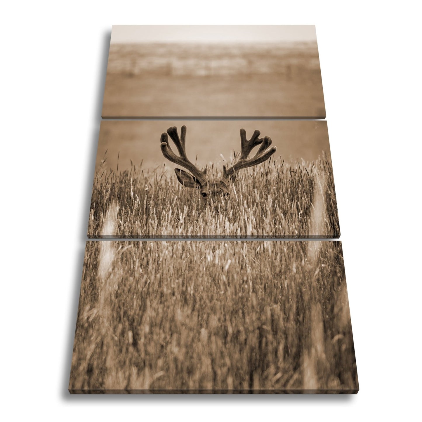 Leinwandbild Hirsch im hohen goldenen Gras XXL – Wildtiere Wandbild Natur - deyoli