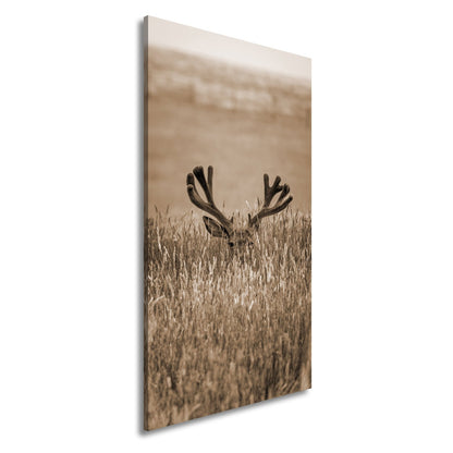 Leinwandbild Hirsch im hohen goldenen Gras XXL – Wildtiere Wandbild Natur - deyoli