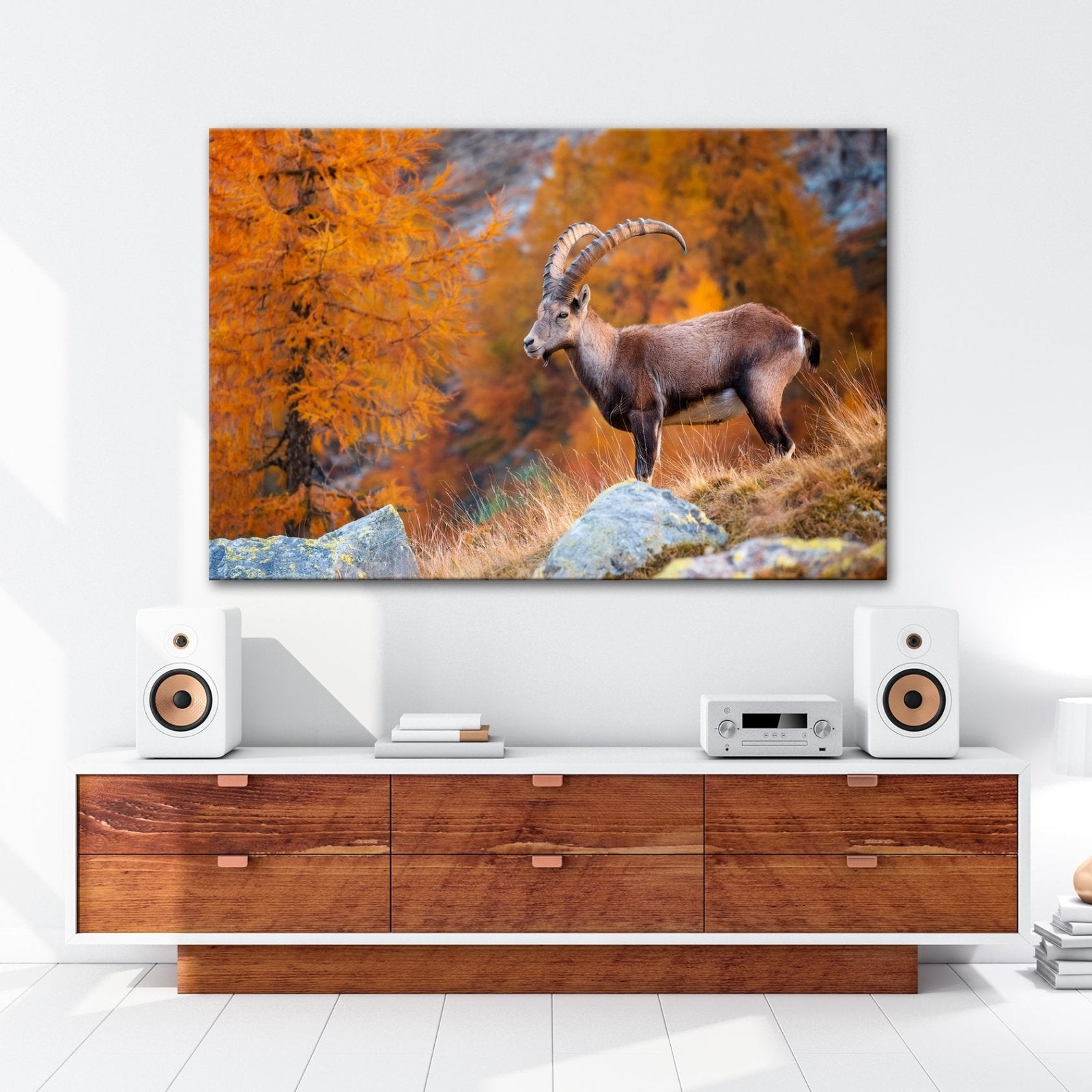 Leinwandbild Im Herbstgold steht der Steinbock stolz und unerschütterlich. - deyoli