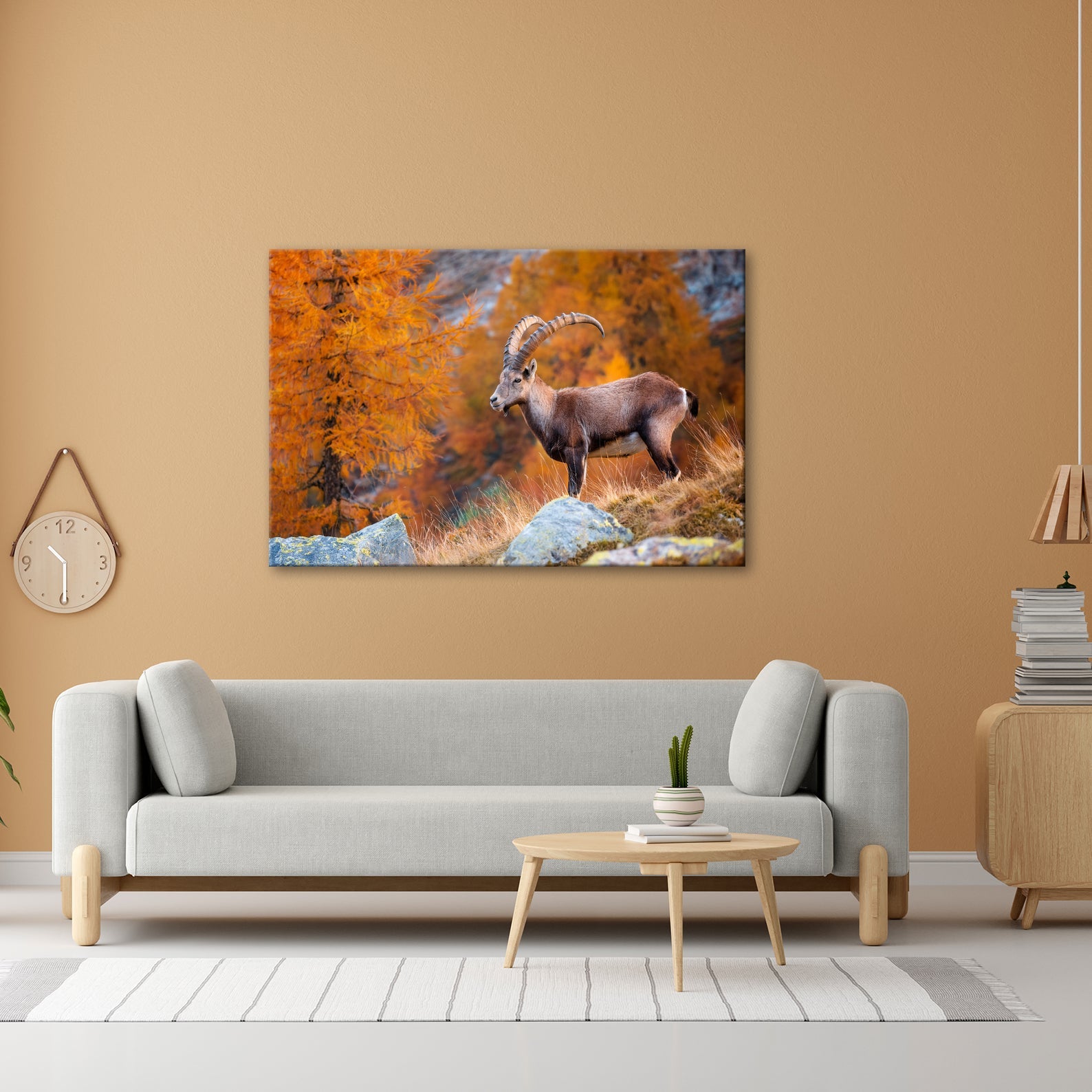 Leinwandbild Im Herbstgold steht der Steinbock stolz und unerschütterlich. - deyoli