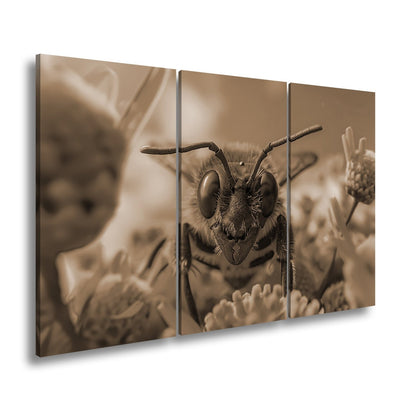 Leinwandbild In deinen Augen spiegelt sich der Sommer der Blumen - deyoli