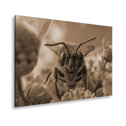 Leinwandbild In deinen Augen spiegelt sich der Sommer der Blumen - deyoli