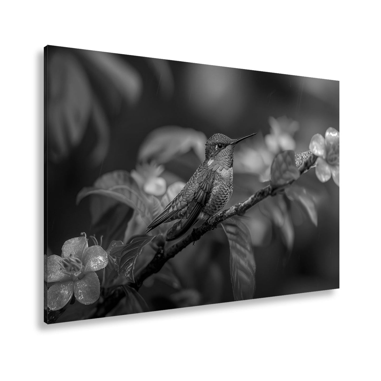 Leinwandbild Inmitten von Blüten wacht ein Juwel auf seinem Zweig. - deyoli