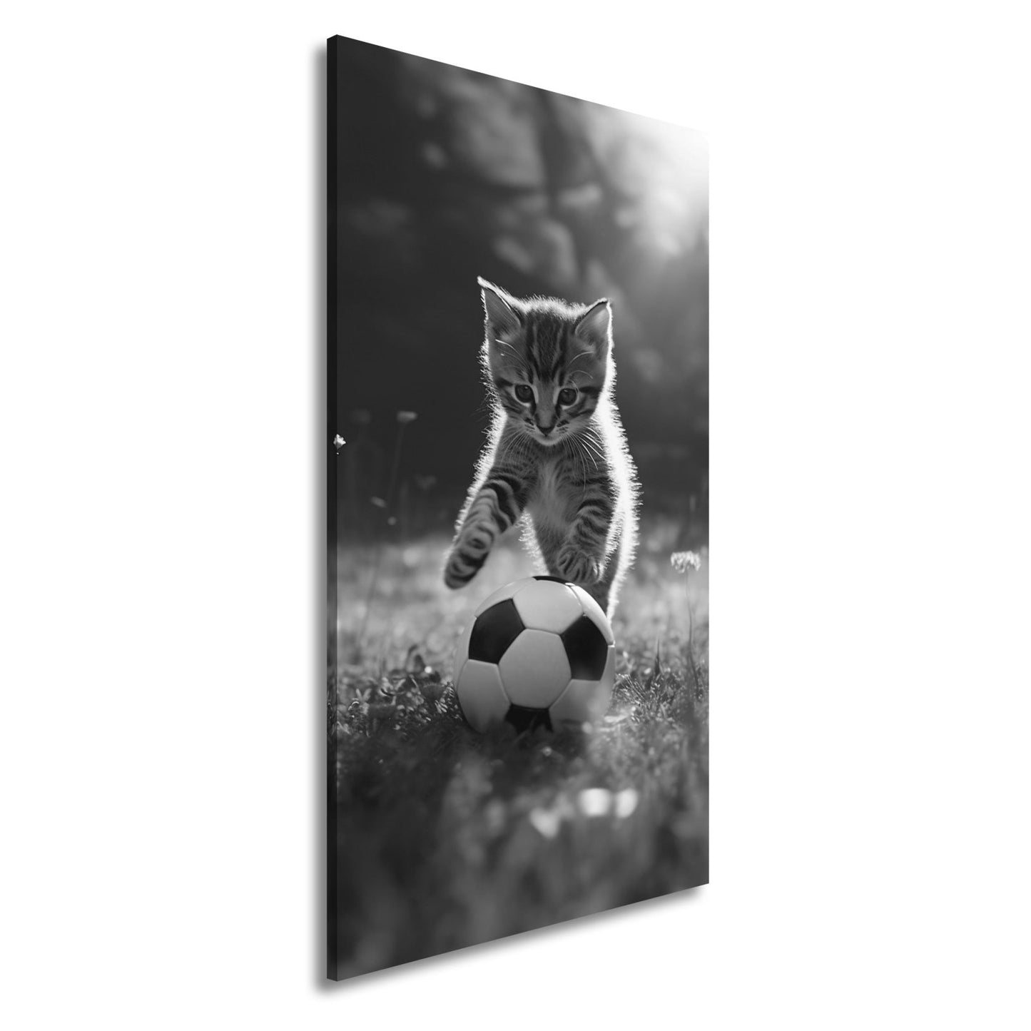 Leinwandbild Katzenkick – flauschiger Fußballspaß im Sonnenlicht. - deyoli