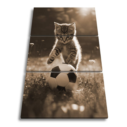 Leinwandbild Katzenkick – flauschiger Fußballspaß im Sonnenlicht. - deyoli