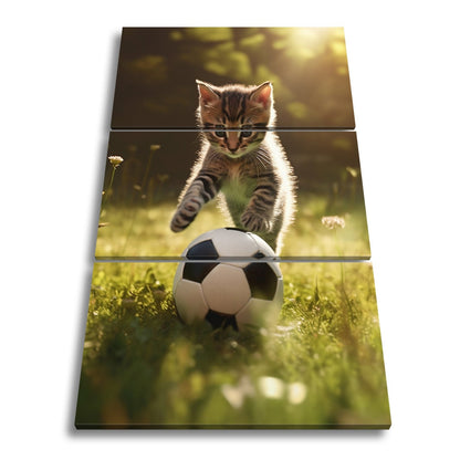 Leinwandbild Katzenkick – flauschiger Fußballspaß im Sonnenlicht. - deyoli