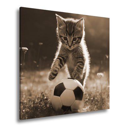Leinwandbild Katzenkick – flauschiger Fußballspaß im Sonnenlicht. - deyoli