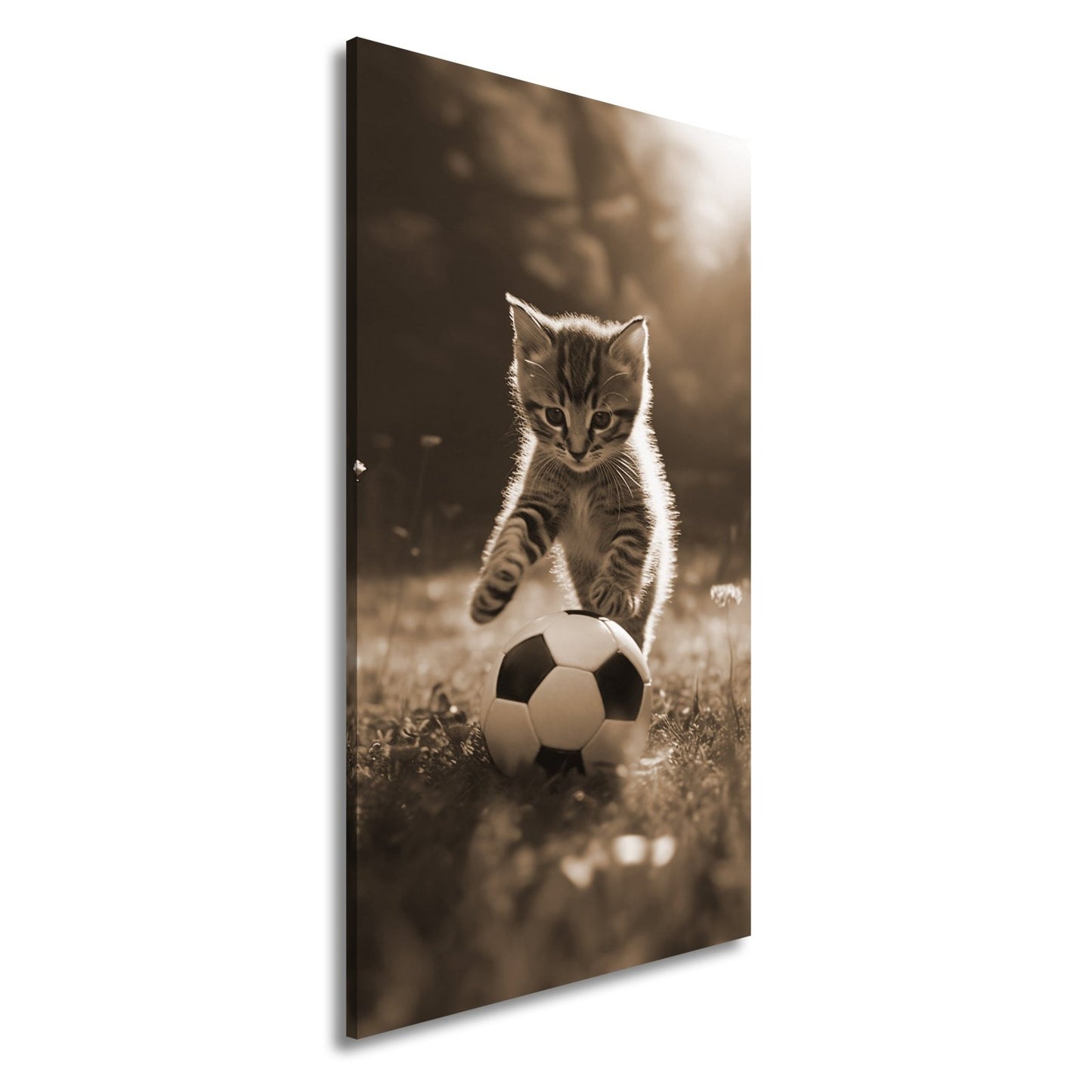 Leinwandbild Katzenkick – flauschiger Fußballspaß im Sonnenlicht. - deyoli