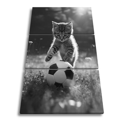 Leinwandbild Katzenkick – flauschiger Fußballspaß im Sonnenlicht. - deyoli