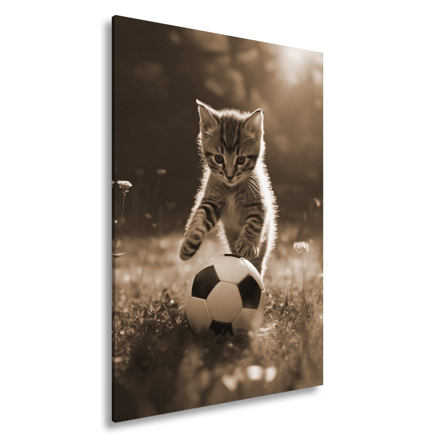 Leinwandbild Katzenkick – flauschiger Fußballspaß im Sonnenlicht. - deyoli