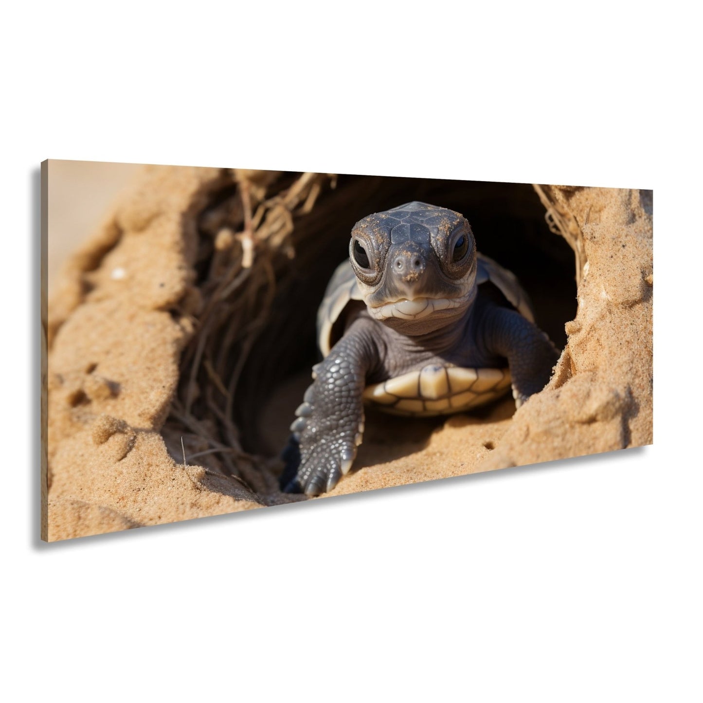 Leinwandbild Kleine Schildkröte, neugierig am Rand der weiten Welt - deyoli