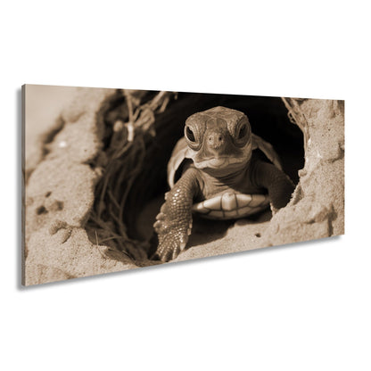 Leinwandbild Kleine Schildkröte, neugierig am Rand der weiten Welt - deyoli