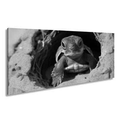 Leinwandbild Kleine Schildkröte, neugierig am Rand der weiten Welt - deyoli