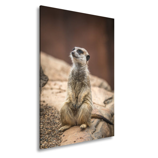 Leinwandbild Kleiner Späher, wachsam auf steinernem Thron - deyoli