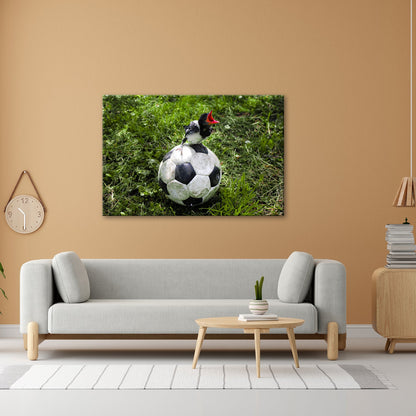 Leinwandbild Kleiner Vogel, großer Ball – Aufstieg beginnt im Gras. - deyoli