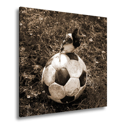 Leinwandbild Kleiner Vogel, großer Ball – Aufstieg beginnt im Gras. - deyoli