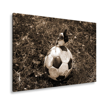 Leinwandbild Kleiner Vogel, großer Ball – Aufstieg beginnt im Gras. - deyoli