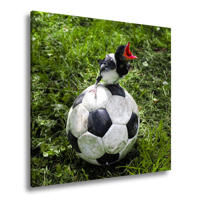 Leinwandbild Kleiner Vogel, großer Ball – Aufstieg beginnt im Gras. - deyoli