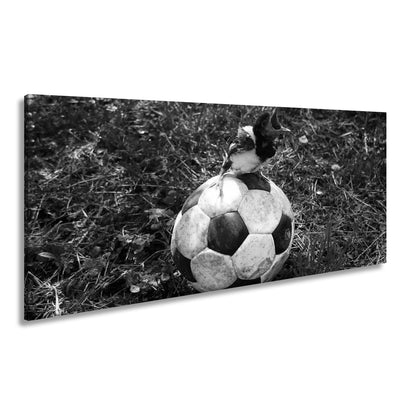 Leinwandbild Kleiner Vogel, großer Ball – Aufstieg beginnt im Gras. - deyoli