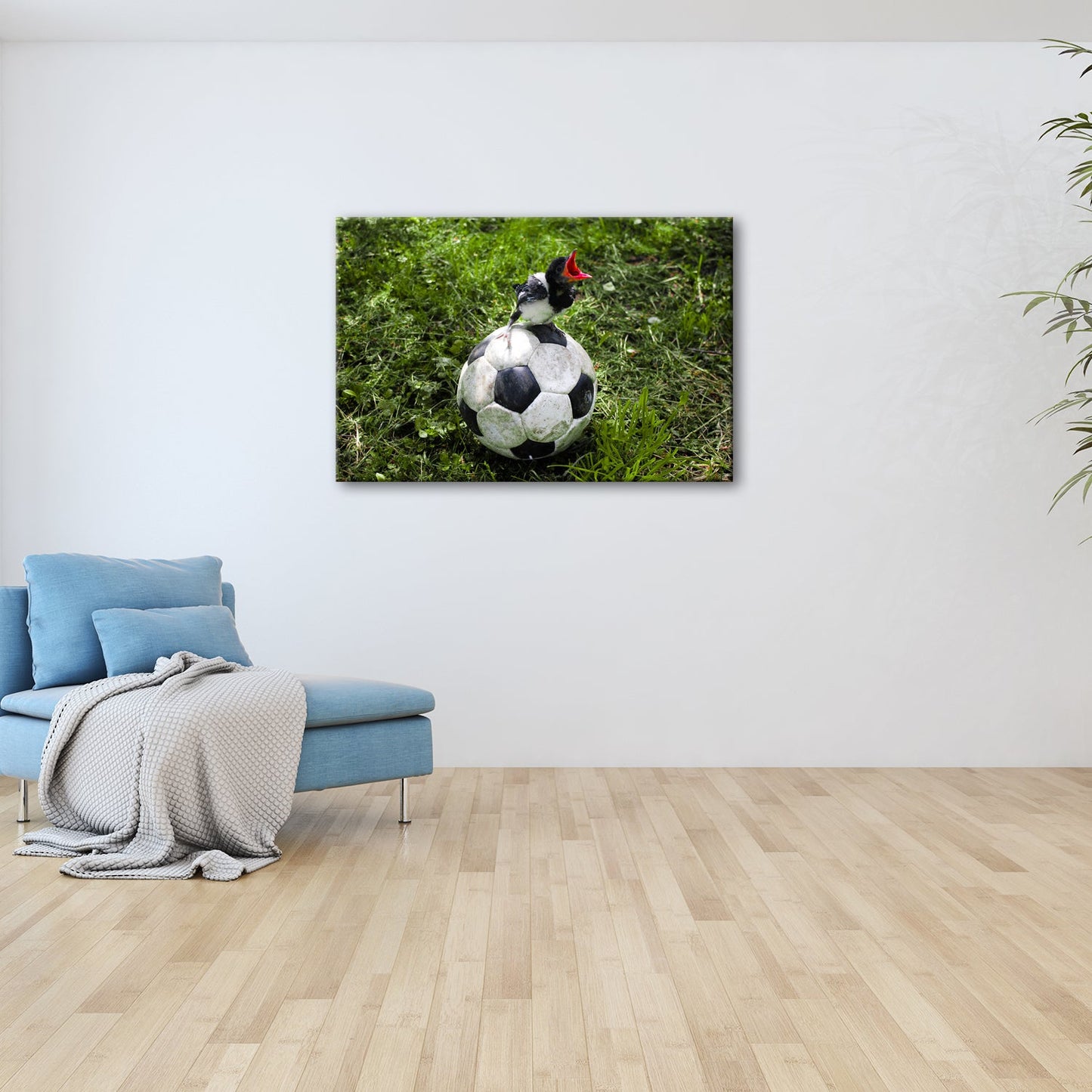 Leinwandbild Kleiner Vogel, großer Ball – Aufstieg beginnt im Gras. - deyoli