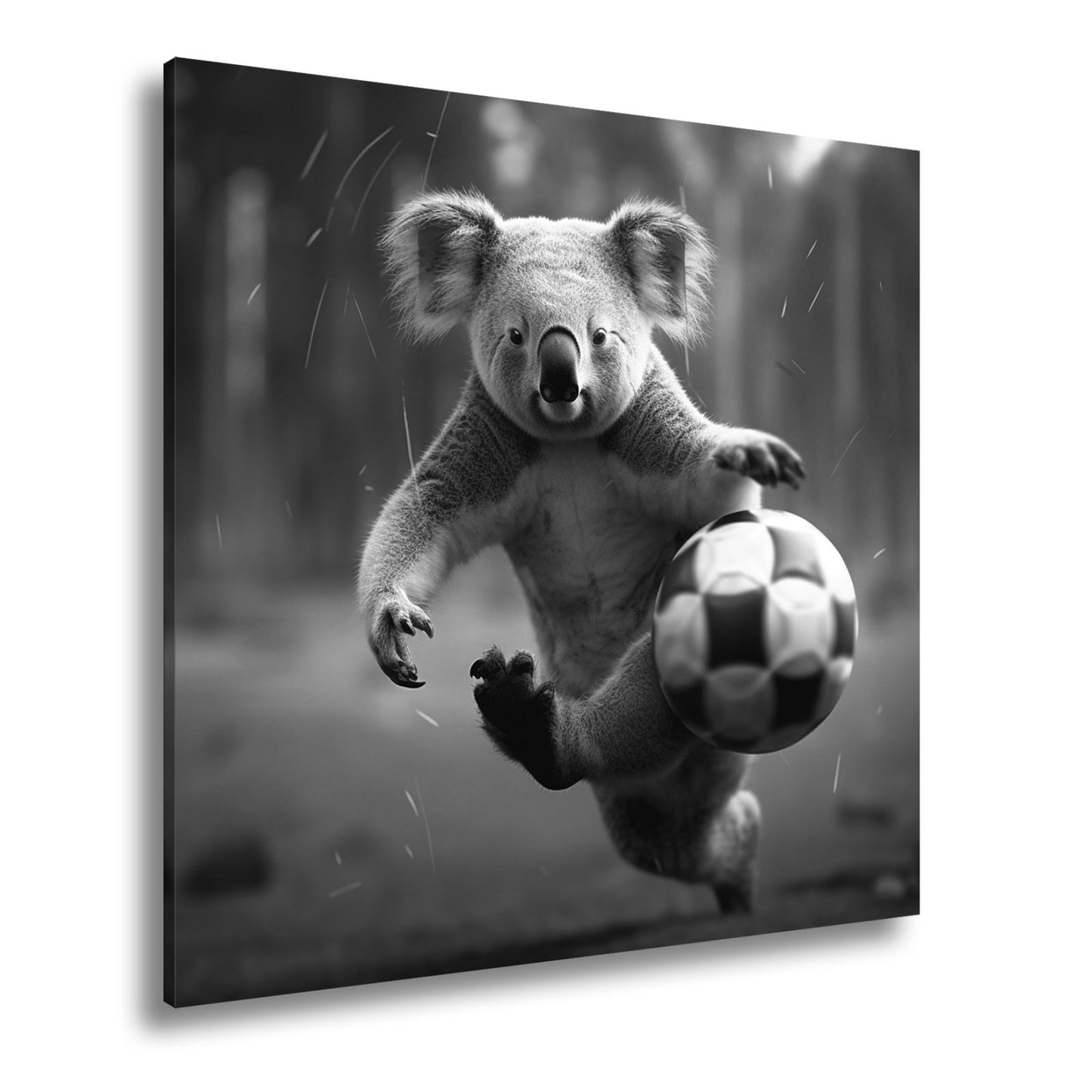 Leinwandbild Koala - Kick – wild entschlossen auf dem Spielfeld. - deyoli