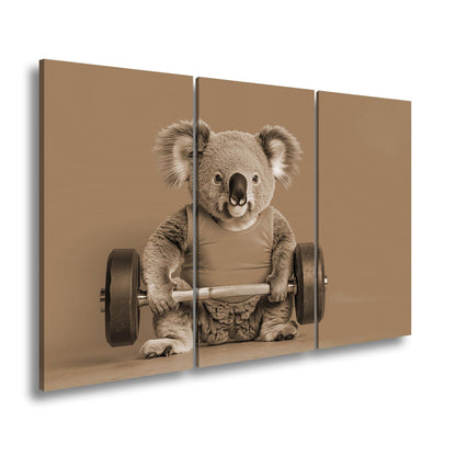 Leinwandbild Koala - Power – flauschig stark mit Hantel und Stil. - deyoli