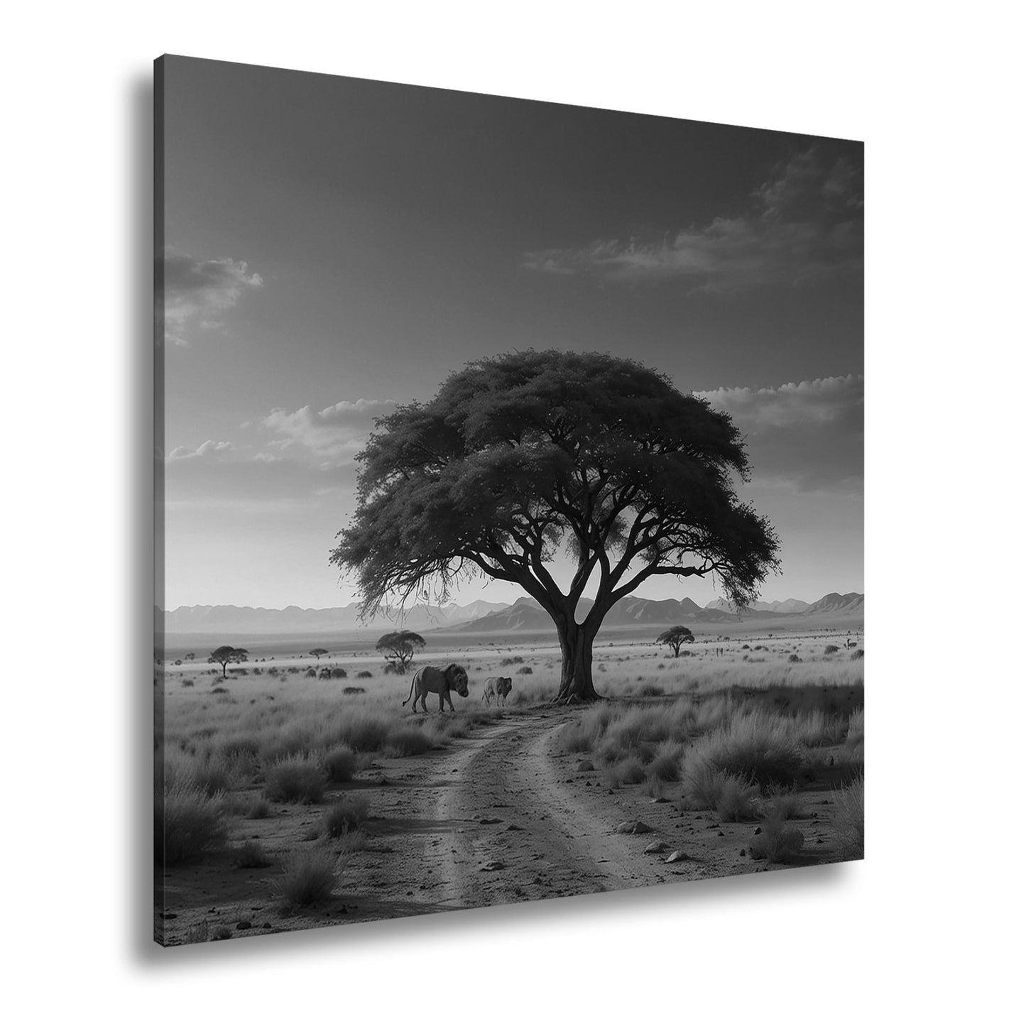 Leinwandbild Königlicher Baum thront über Löwen im Abendlicht. - deyoli