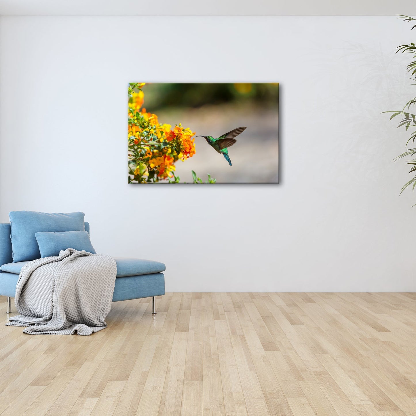 Leinwandbild Kolibri schwebt zwischen Flammenblüten in hellem Flug - deyoli