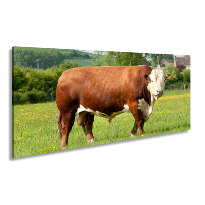 Leinwandbild Kuh XXL – Stolz auf Blumenwiese mit direktem Blick - deyoli