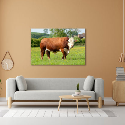 Leinwandbild Kuh XXL – Stolz auf Blumenwiese mit direktem Blick - deyoli